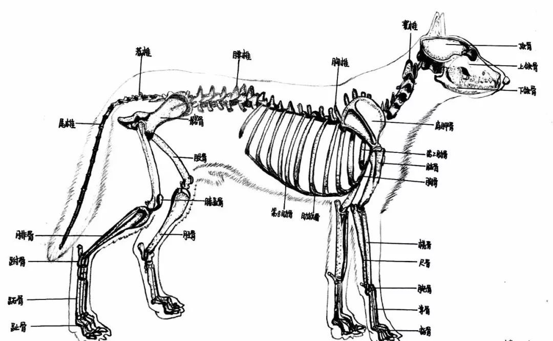 2o24澳門正版免費料大全精準,兵器科學與技術_圣神HTZ548.76