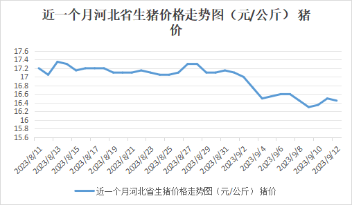 今日河北生豬價格最新