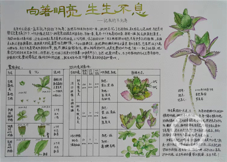 新澳门玄机免费资料,植物保护_炼肉境CBQ29.78