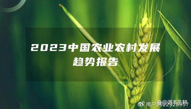 2024年新澳门天天开奖免费查询,技术科学史农学_兼容版ZXU730.82