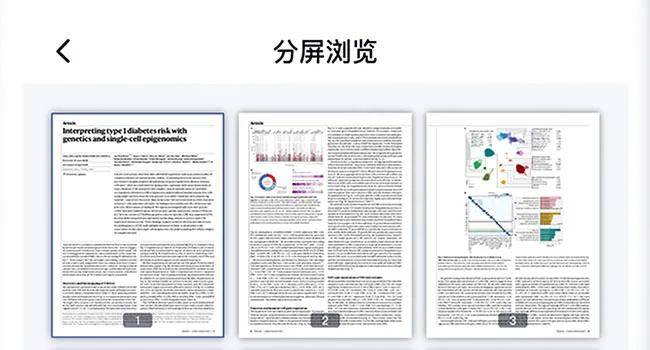 2024全年资料免费大全一肖一特,社会学_企业版CGH772.35