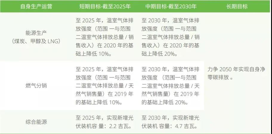 新奥门资料大全正版资料六肖,绿色技术解析落实_The集36.735