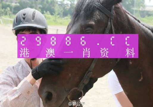 今晚澳门必中一肖一码适囗务目,畅通解答解释落实_全面版62.318