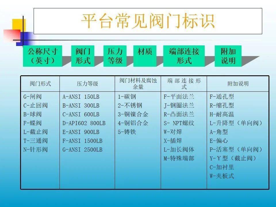 新奥门资料免费资料大全,最新解答解析说明_WP版53.732