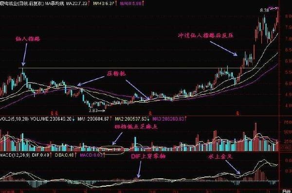 澳门今晚开特马+开奖结果走势图,＊＊案例二：2023年1月2日开奖号码“01、09、16、21、28 + 03、11”＊＊